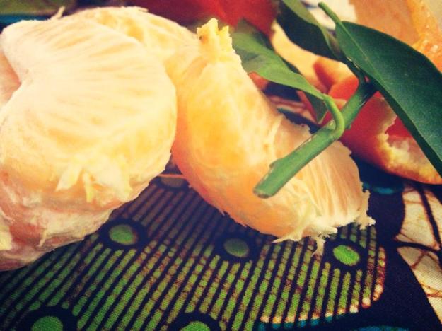 10945600_320554561487748_4842418636559036676_n